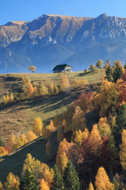Avrupa, Romanya, Transilvanya, Karpatya Dağları, Magura, Piatra Craiului Ulusal Parkı.