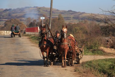 Avrupa, Transilvanya, Romanya, Suceava, yerel çiftçi ve eş başkanı onların atlı araba pazarına.