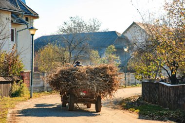 Avrupa, Transilvanya, Romanya, Suceava, yerel çiftçi onun vagon aşağı köy yolu kullanıyor. Vagon dolgu saman ile.