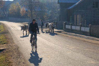 Avrupa, Romanya, Bucovina, Vatra Modovitei. Moldovita, Sucevita. Bisikletli yerel.