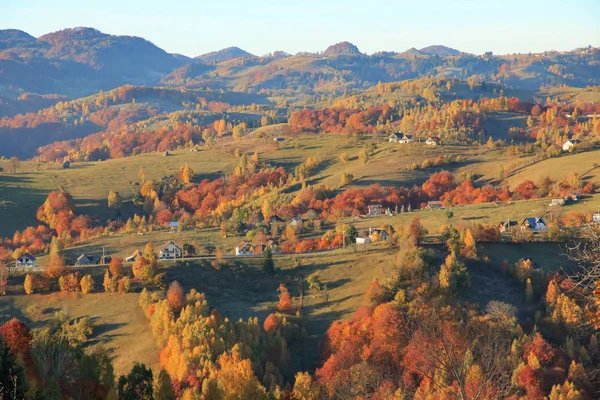 Piatra Craiului Національний Парк Осінній Сезон Румунія — стокове фото