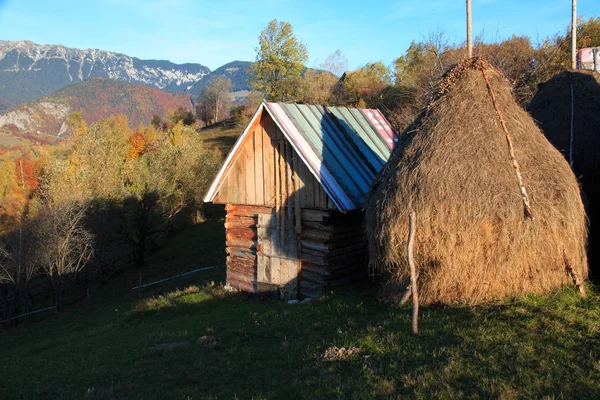 Старая Ферма Национальном Парке Piatra Craiului Карпатах Румыния — стоковое фото