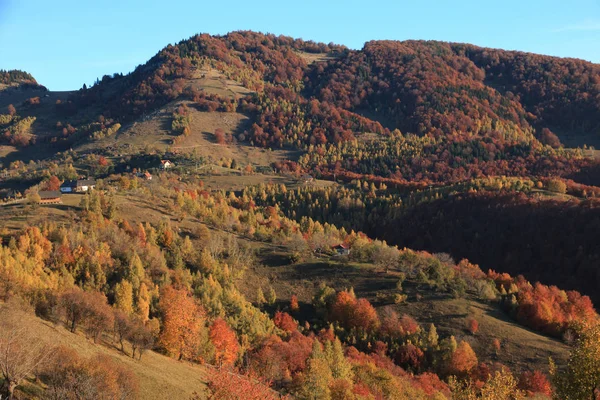 Europa Romênia Transilvânia Montanhas Cárpatas Magura Parque Nacional Piatra Craiului — Fotografia de Stock