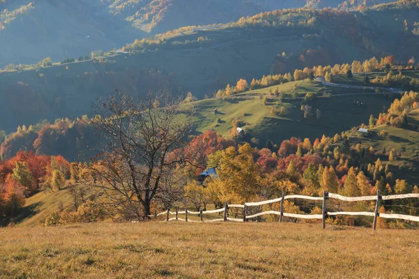 Europa Rumania Transilvania Montañas Cárpatos Magura Parque Nacional Piatra Craiului —  Fotos de Stock