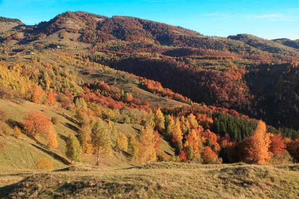 Європа Румунія Трансільванія Карпатські Гори Магура Національний Парк Ятра Крейулуй — стокове фото