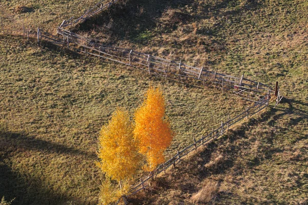 Piatra Craiului National Park Autumn Season Romania — Stock Photo, Image
