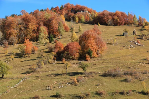 Europa Romênia Transilvânia Montanhas Cárpatas Magura Parque Nacional Piatra Craiului — Fotografia de Stock