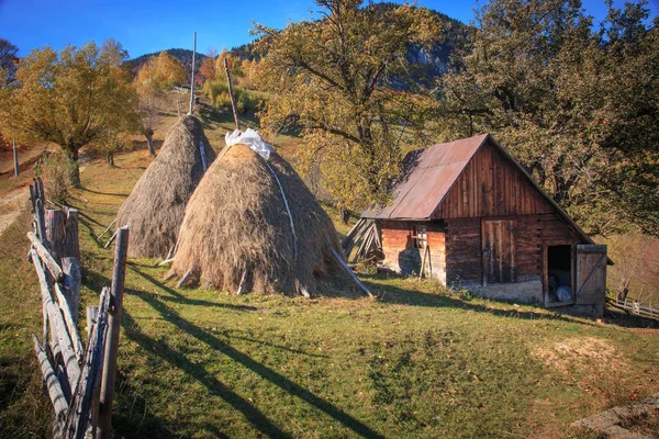 Старая Ферма Национальном Парке Piatra Craiului Карпатах Румыния — стоковое фото