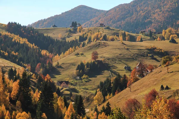 Europa Rumania Transilvania Montañas Cárpatos Magura Parque Nacional Piatra Craiului —  Fotos de Stock