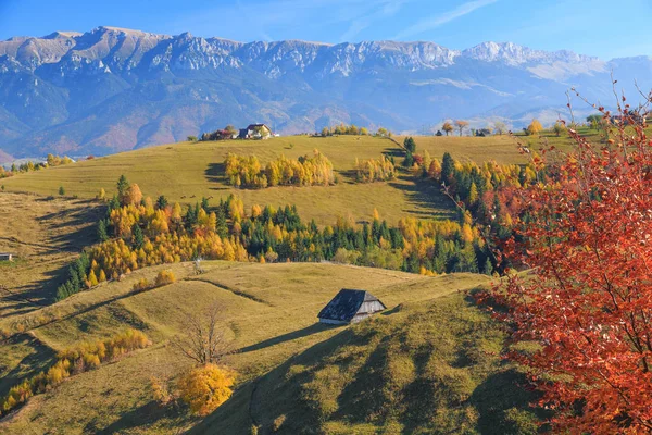 Старая Ферма Национальном Парке Piatra Craiului Карпатах Румыния — стоковое фото