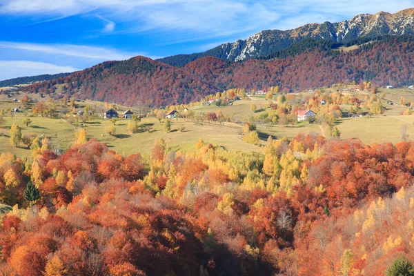 Europa Romênia Transilvânia Montanhas Cárpatas Magura Parque Nacional Piatra Craiului — Fotografia de Stock