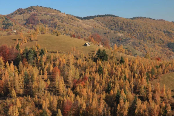 Europa Romênia Transilvânia Montanhas Cárpatas Magura Parque Nacional Piatra Craiului — Fotografia de Stock