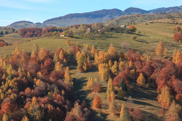Європи Румунії Трансільванії Карпатських Гір Магура Piatra Craiului Національний Парк — стокове фото
