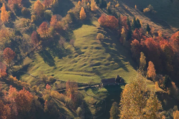 Європи Румунії Трансільванії Карпатських Гір Магура Piatra Craiului Національний Парк — стокове фото