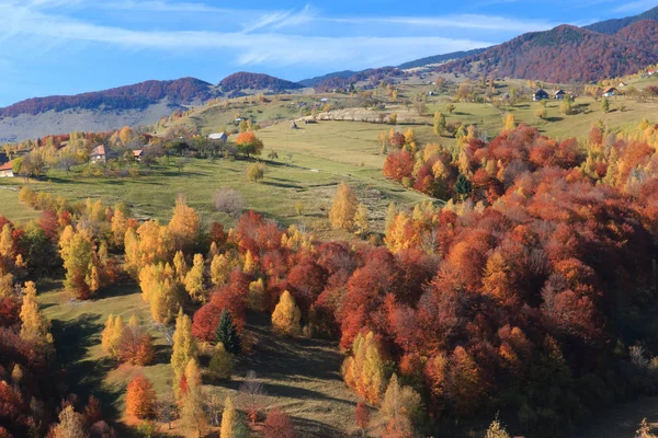 Europa Rumania Transilvania Montañas Cárpatos Magura Parque Nacional Piatra Craiului —  Fotos de Stock