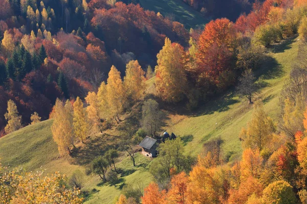 罗马尼亚 特兰西瓦尼亚 喀尔巴阡山脉 马古拉 皮亚特拉服务国家公园 秋季颜色 — 图库照片