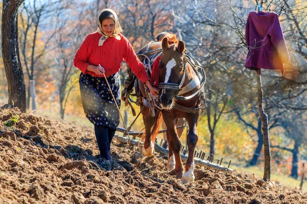 Rumunsko Maramures County Dobricu Lapusului Zemědělci Zorané Pole — Stock fotografie