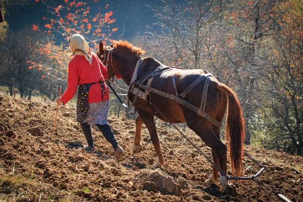 Romania Maramures County Dobricu Lapusului Farmers Plowing Field — Stock Photo, Image