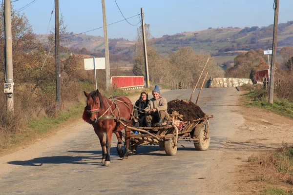 Avrupa, Transilvanya, Romanya, Suceava, yerel çiftçi ve eş başkanı onların atlı araba pazarına.