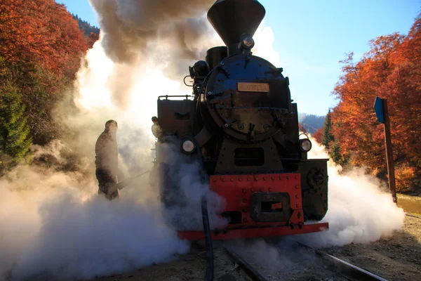 Europe Romania Viseu Sus Carpathian Forest Steam Train Vaser Valley — Stock Photo, Image