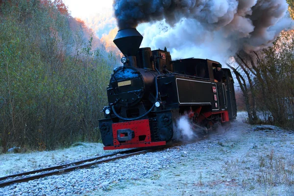 Europe Romania Viseu Sus Carpathian Forest Steam Train Vaser Valley — Stock Photo, Image