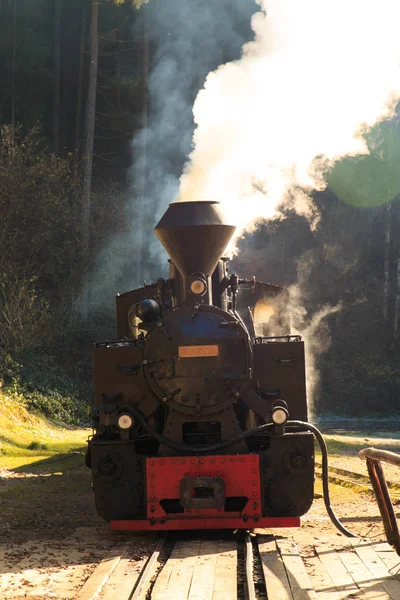 Europe Romania Viseu Sus Carpathian Forest Steam Train Vaser Valley — Stock Photo, Image