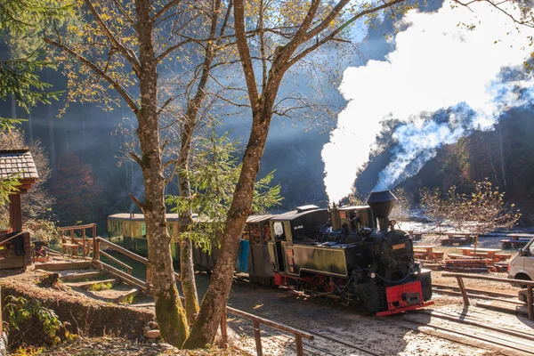 Europa Rumänien Viseu Sus Karpatenwald Dampfzug Vasertalbahn Holzverbrennung Dampflokomotive Schmalspurbahn — Stockfoto