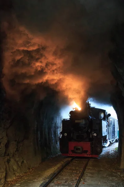 Europe Roumanie Viseu Sus Train Vapeur Des Carpates Vaser Valley — Photo