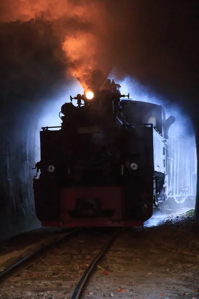 Europe Romania Viseu Sus Carpathian Forest Steam Train Vaser Valley — Stock Photo, Image