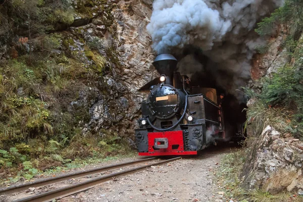 Avrupa, Romanya, Viseu de Sus. Karpat orman buharlı tren. Vaser Vadisi Demiryolu. Ahşap yakma, buharlı lokomotif. Dar-göstergesi tren. Başlatılan 1932.