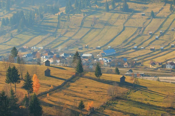 Europa Rumänien Siebenbürgen Karpaten Piatra Craiului Nationalpark Moldovita Bereich Herbstfarben — Stockfoto