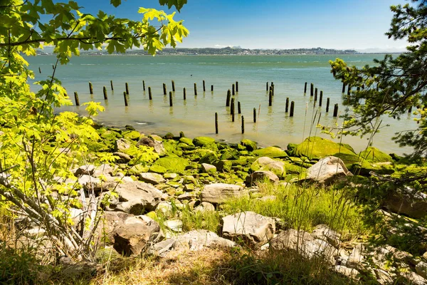 North America, Washington State, Pacific County, Megler,  Astoria Bridge, Columbia River. North Shore of the Columbia River. Pilings. Sea Weed covered, rocky beach.