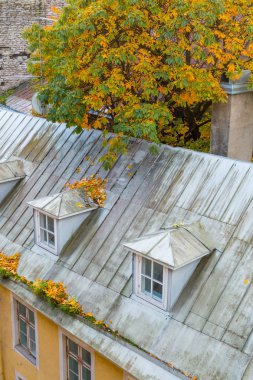 Avrupa, Doğu Avrupa, Baltık Devletleri, Estonya, Tallinn. Çatıları city walls yakınındaki.