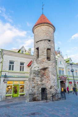 Avrupa, Doğu Avrupa, Baltık Devletleri, Estonya, Tallinn. Eski Şehir, şehir surları boyunca. Taş kapısı ve nöbet sonrası bölümü. 23 Ekim 2017.