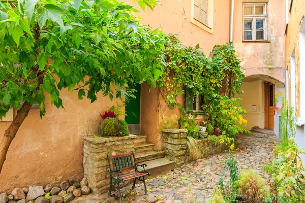 Europe, Eastern Europe, Baltic States, Estonia, Tallinn. Old town, city windows. Vine covered entrance to building.