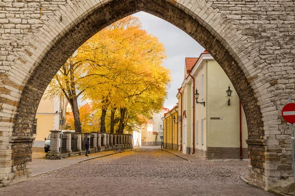 Europe, Eastern Europe, Baltic States, Estonia, Tallinn. Old town, arched entryway into oldtown.