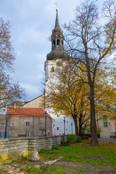 Europa Osteuropa Baltikum Estland Tallinn Altstadt Die Kathedrale Der Heiligen — Stockfoto
