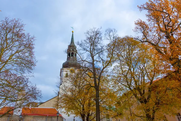Европа Восточная Европа Прибалтика Эстония Таллин Старый Город Собор Пресвятой — стоковое фото
