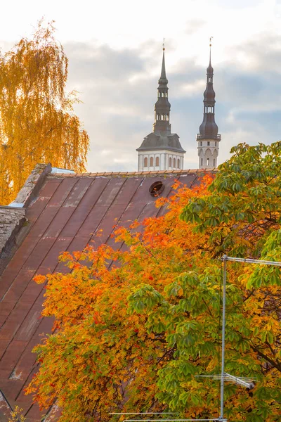 Europe, Eastern Europe, Baltic States, Estonia, Tallinn. Autumn leaves, roof tops, old town.