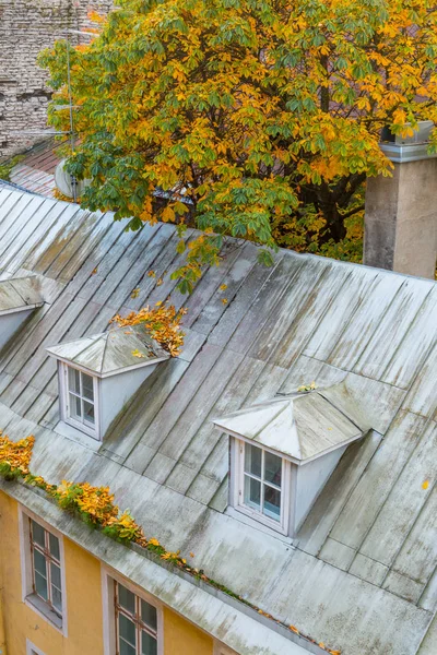 Europe, Eastern Europe, Baltic States, Estonia, Tallinn. Rooftops near city walls.