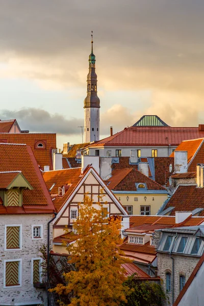 Europa Europa Del Este Estados Bálticos Estonia Tallin Casco Antiguo —  Fotos de Stock