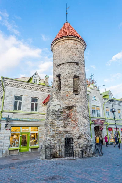Avrupa, Doğu Avrupa, Baltık Devletleri, Estonya, Tallinn. Eski Şehir, şehir surları boyunca. Taş kapısı ve nöbet sonrası bölümü. 23 Ekim 2017.