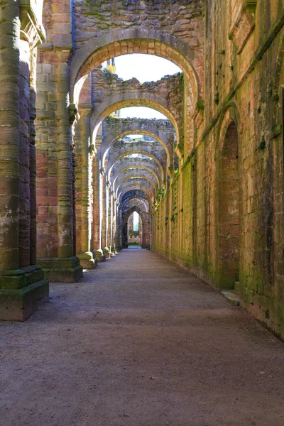 İngiltere'de, North Yorkshire, Ripon. Çeşmeler Abbey, Studley Royal. UNESCO dünya mirası. Milli güven, Cistercian Manastırı. Archways church NEF yakınındaki kalıntıları.