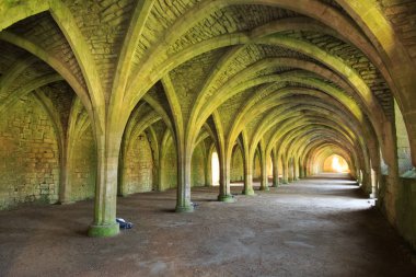 İngiltere'de, North Yorkshire, Ripon. Çeşmeler Abbey, Studley Royal. UNESCO dünya mirası. Cistercian Manastırı. Gıda saklandığı kalıntıları tonozlu cellarium.