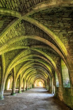 İngiltere'de, North Yorkshire, Ripon. Çeşmeler Abbey, Studley Royal. UNESCO dünya mirası. Cistercian Manastırı. Gıda saklandığı kalıntıları tonozlu cellarium.