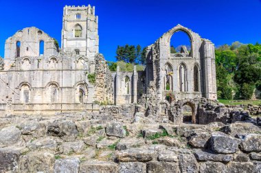 İngiltere'de, North Yorkshire, Ripon. Çeşmeler Abbey, Studley Royal. UNESCO dünya mirası. Milli güven, Cistercian Manastırı. Abbey Kilisesi ve Kulesi kalıntıları.