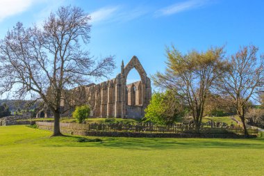 North Yorkshire, İngiltere'de Wharfedale, Bolton Abbey. Alanları ve 12. yüzyıl Augustinerinnen manastır kalıntıları.