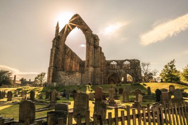North Yorkshire, İngiltere'de Wharfedale, Bolton Abbey. Alanları ve 12. yüzyıl Augustinerinnen manastır kalıntıları. Dijital filtre. 