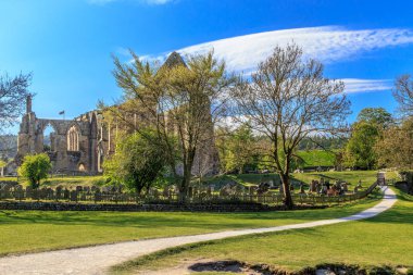 North Yorkshire, İngiltere'de Wharfedale, Bolton Abbey. Alanları ve 12. yüzyıl Augustinerinnen manastır kalıntıları. 