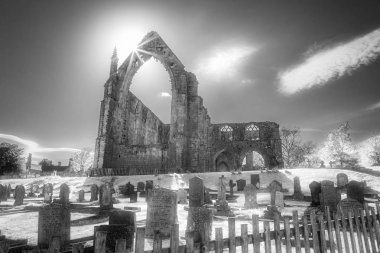 North Yorkshire, İngiltere'de Wharfedale, Bolton Abbey. Alanları ve 12. yüzyıl Augustinerinnen manastır kalıntıları. Dijital filtre.